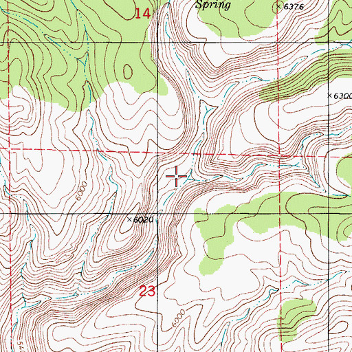Topographic Map of McCracken Canyon, NM