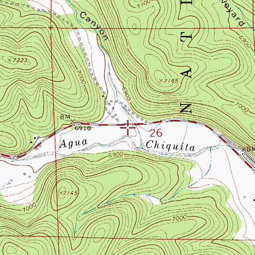 Topographic Map of McEwan Canyon, NM