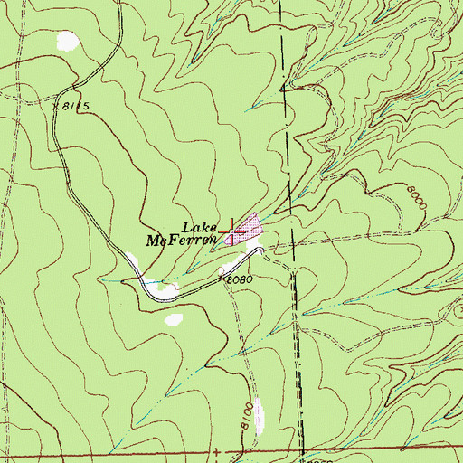 Topographic Map of Lake McFerren, NM