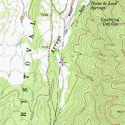 Topographic Map of McGaffey Canyon, NM