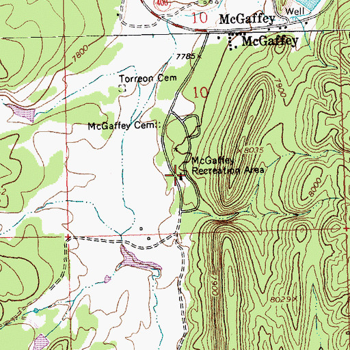 Topographic Map of McGaffey Camp and Picnic Grounds, NM