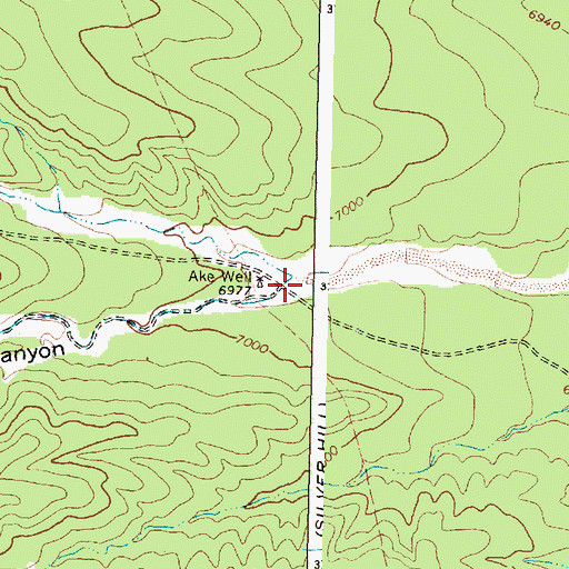 Topographic Map of McGee Canyon, NM