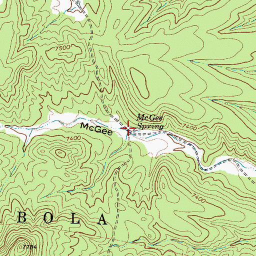 Topographic Map of McGee Spring, NM
