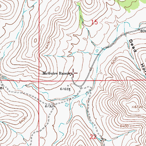 Topographic Map of McGuire Ranch, NM