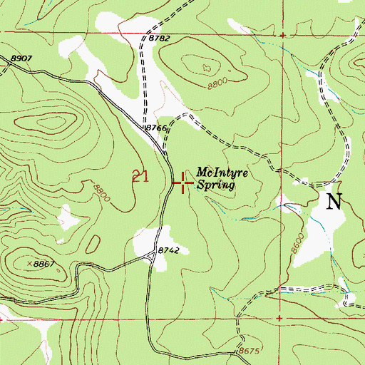 Topographic Map of McIntyre Spring, NM