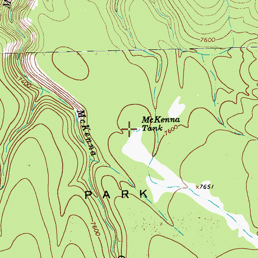Topographic Map of McKenna Tank, NM