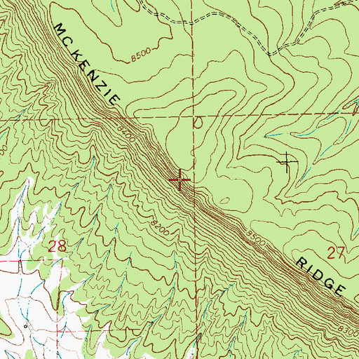 Topographic Map of McKenzie Ridge, NM