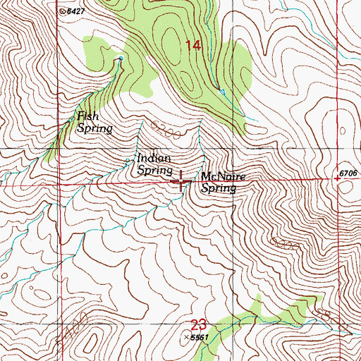 Topographic Map of McNaire Spring, NM