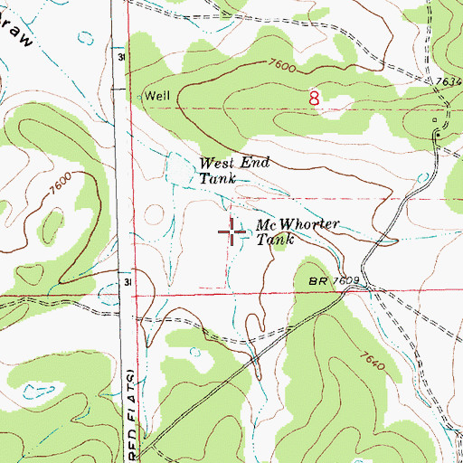Topographic Map of McWhorter Tank, NM