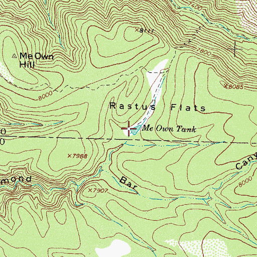 Topographic Map of Me Own Tank, NM