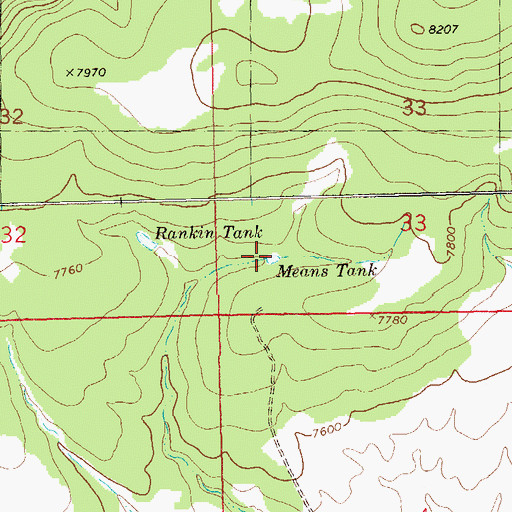 Topographic Map of Means Tank, NM