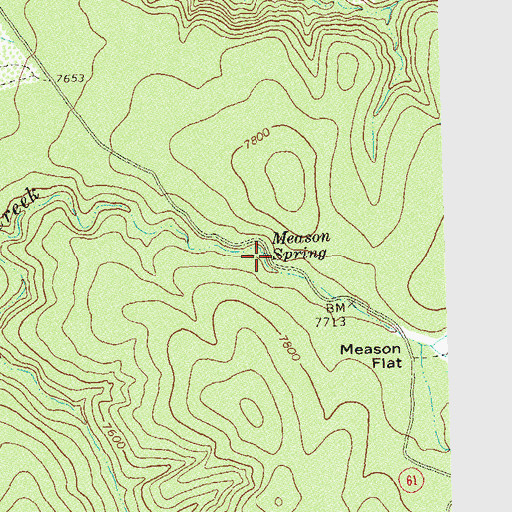 Topographic Map of Meason Spring, NM