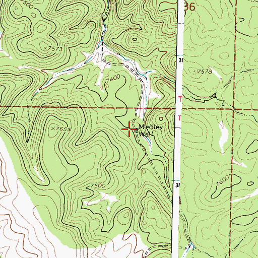 Topographic Map of Medley Well, NM