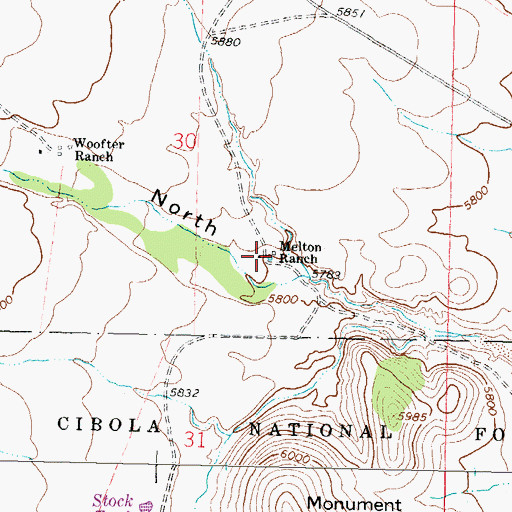 Topographic Map of Melton Ranch, NM
