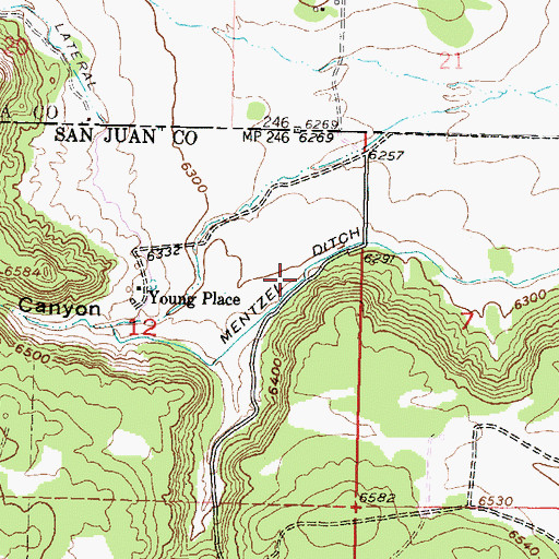 Topographic Map of Mentzel Ditch, NM