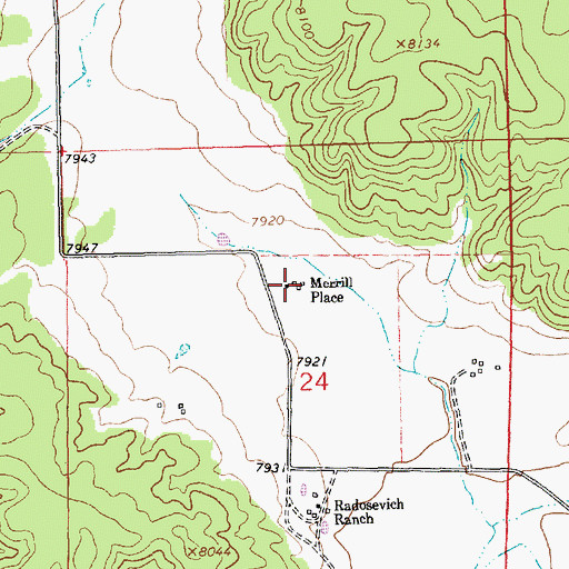 Topographic Map of Merrill Place, NM