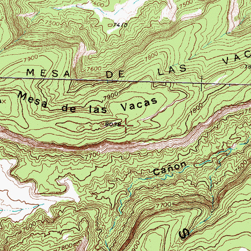 Topographic Map of Mesa de las Vacas, NM