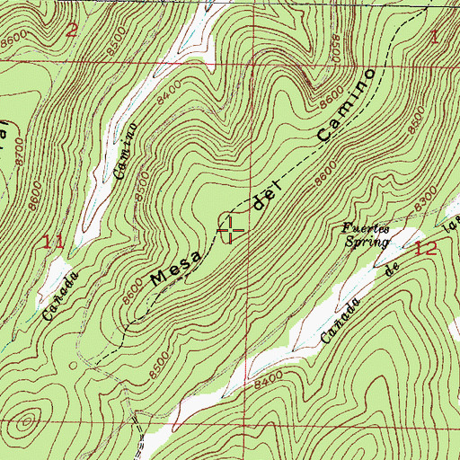 Topographic Map of Mesa del Camino, NM