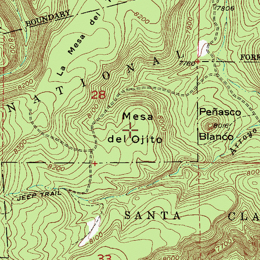 Topographic Map of Mesa del Ojito, NM