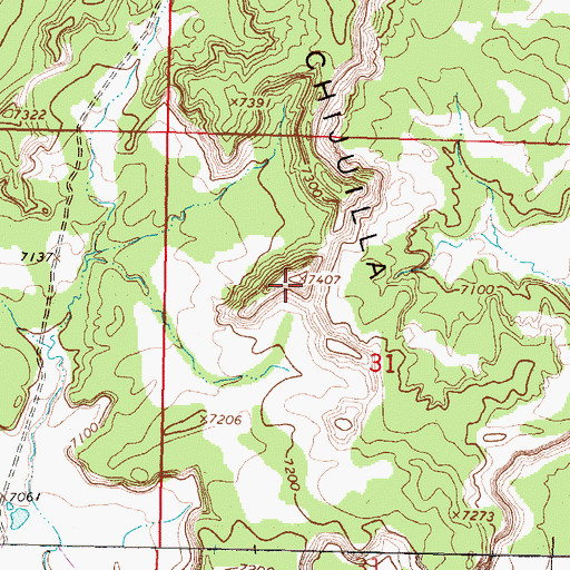 Topographic Map of Mesa Chijuilla, NM