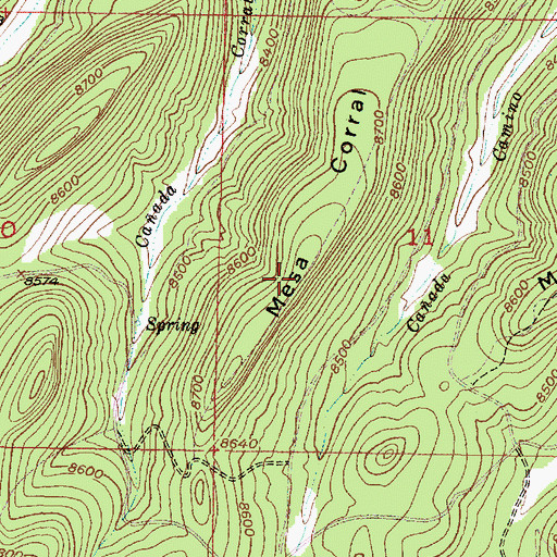 Topographic Map of Mesa Corral, NM