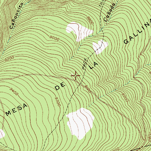 Topographic Map of Mesa de la Gallina, NM