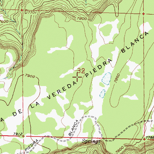 Topographic Map of Mesa de la Vereda Piedra Blanca, NM