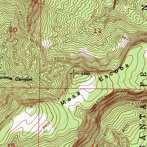 Topographic Map of Mesa Escoba, NM