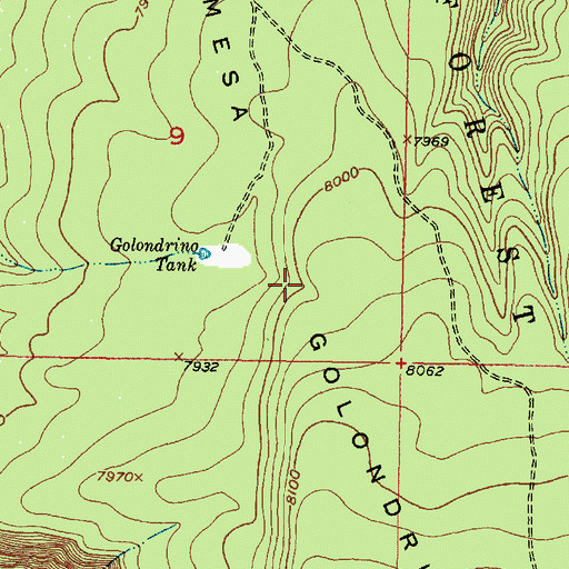 Topographic Map of Mesa Golondrina, NM