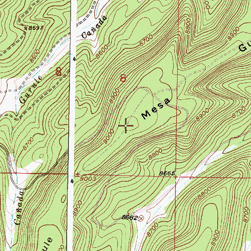 Topographic Map of Mesa Gurule, NM