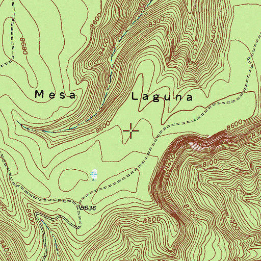 Topographic Map of Mesa Laguna, NM