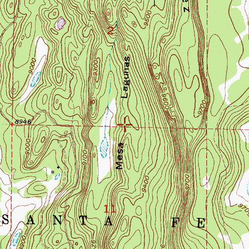 Topographic Map of Mesa Lagunas, NM