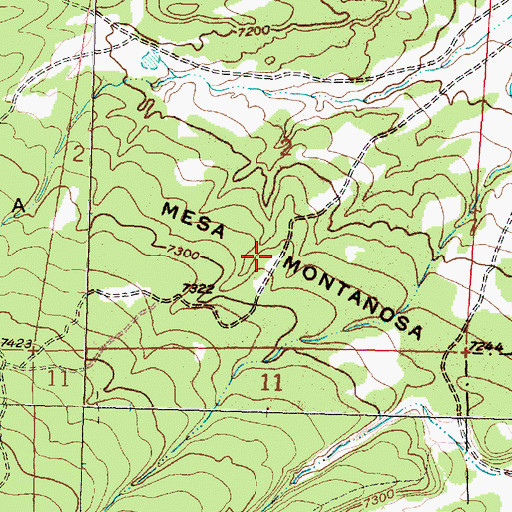 Topographic Map of Mesa Montanosa, NM
