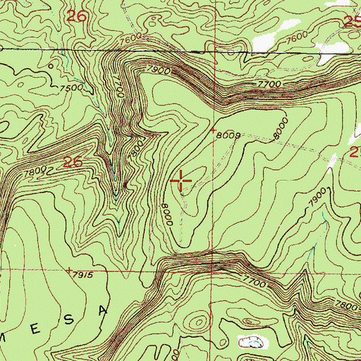 Topographic Map of Mesa Montosa, NM