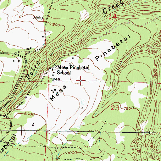 Topographic Map of Mesa Pinabetal, NM