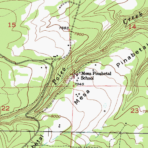 Topographic Map of Mesa Pinabetal School, NM
