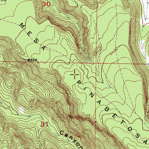 Topographic Map of Mesa Pinabetosa, NM