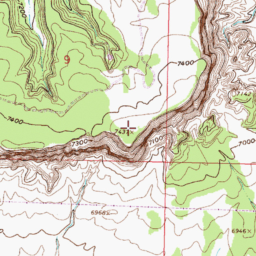 Topographic Map of Mesa Portales, NM