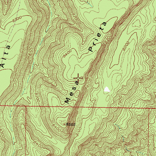 Topographic Map of Mesa Prieta, NM