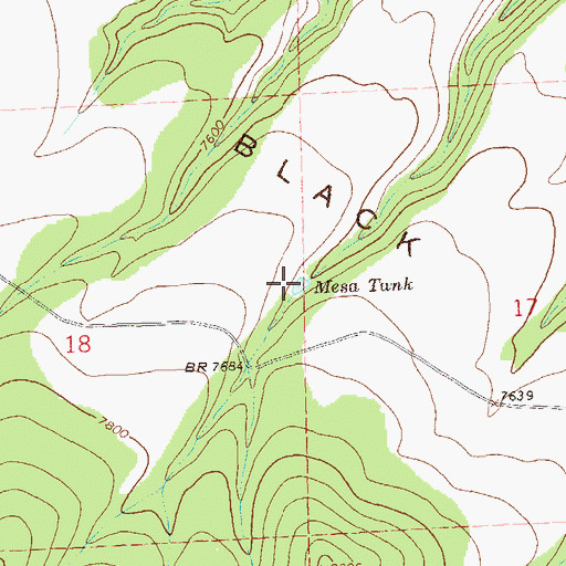 Topographic Map of Mesa Tank, NM