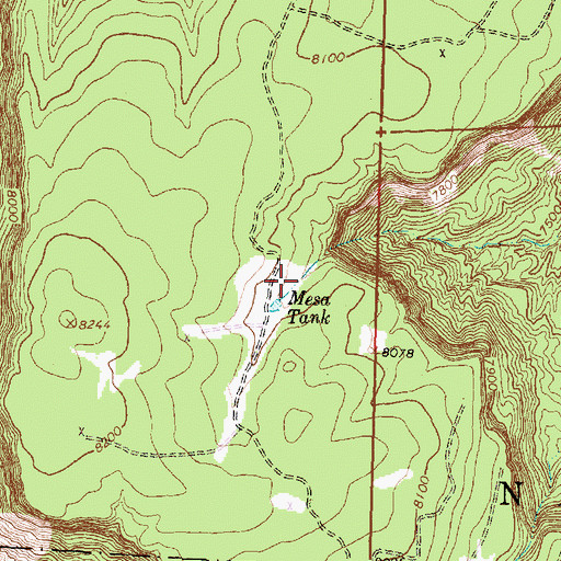 Topographic Map of Mesa Tank, NM