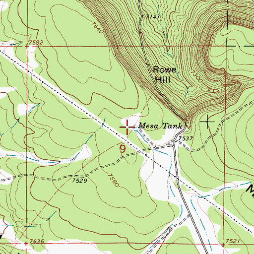 Topographic Map of Mesa Tank, NM