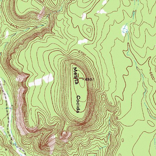 Topographic Map of Mesita Cocida, NM
