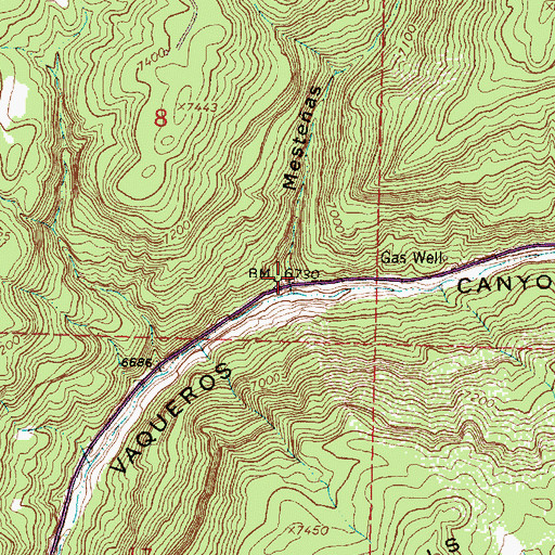 Topographic Map of Mestenas Canyon, NM