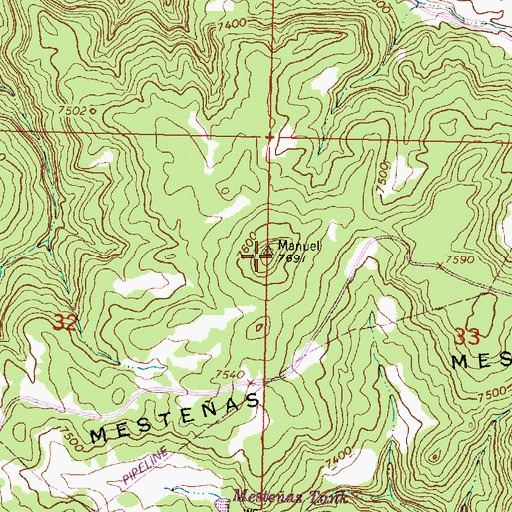 Topographic Map of Mestenas Mesa, NM