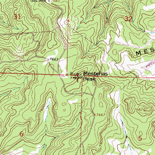 Topographic Map of Mestenas Peak, NM