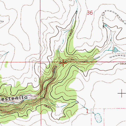 Topographic Map of Mestenito Valley, NM