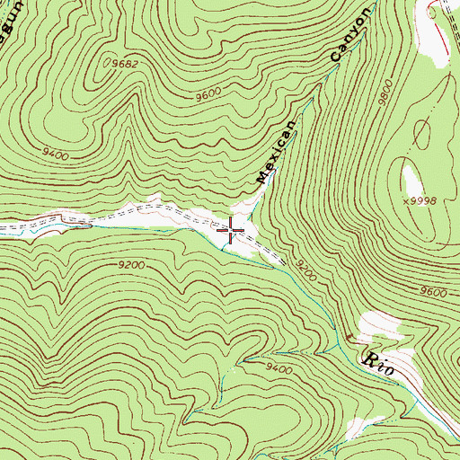 Topographic Map of Mexican Canyon, NM