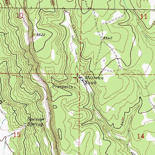 Topographic Map of Mexican Tank, NM