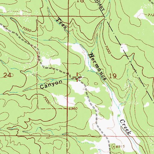 Topographic Map of Mica Canyon, NM
